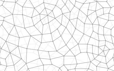 Wall Mural - Vector seamless texture line network with point. White background.