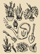 © faiyiro - Home garden equipment. Watering can, rake, shovel, home plants. Hand drawn set. Good spring elements.