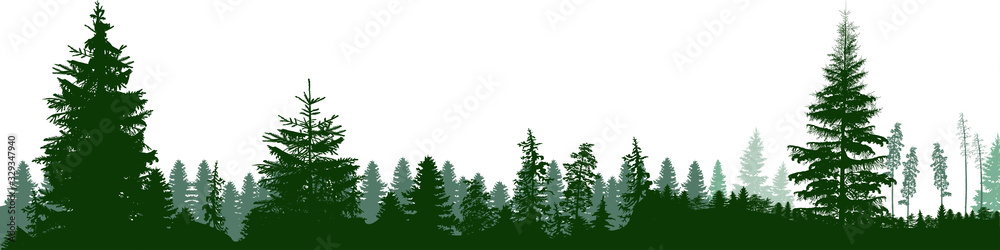 high green fir trees forest panorama isolated on white - obrazy, fototapety, plakaty 