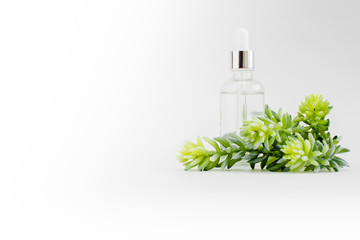 Wall Mural - Hyaluronic acid Dropper transparant glass Bottle. Skincare and health concept. Glass bottle  on white background with succulent.