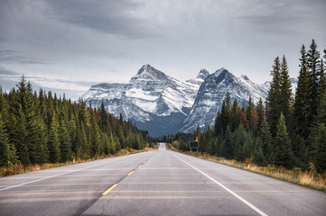 Road trip of Highway with rocky mountains in autumn forest at national park