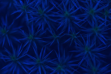 Abstract plant close-up macro background futuristic leaves