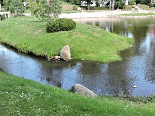 Canvas Print - pond in the park, Tallinn