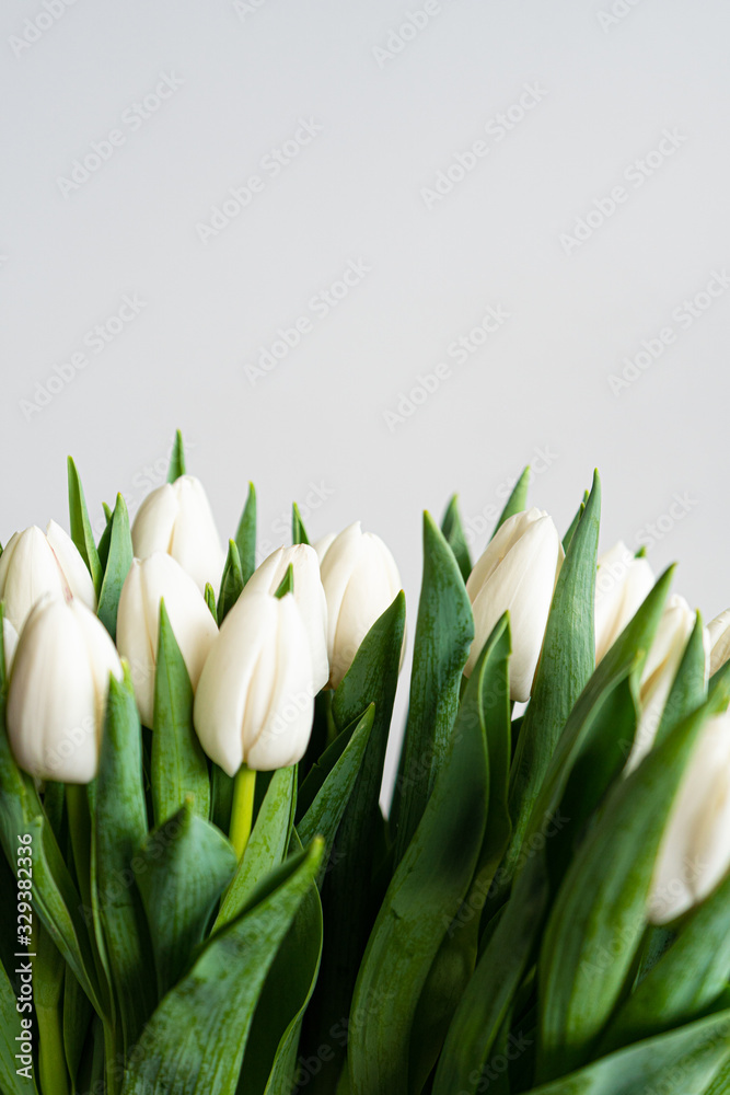 Spring flowers banner - bunch of white tulip flowers on white, grey background. Easter day mock up greeting card. Congratulation or Invitation card with free space for text.  - obrazy, fototapety, plakaty 