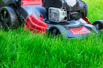 Wall Mural - Lawn mower cutting green grass in backyard, mowing lawn