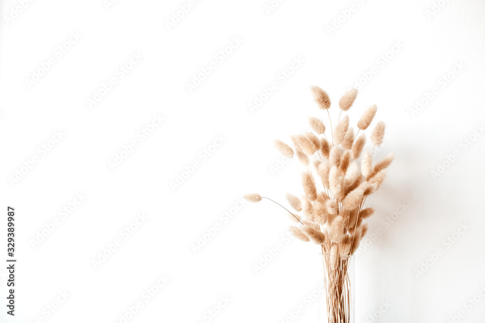Obraz na płótnie Fluffy tan pom pom plants bouquet in glass vase on white background. w salonie