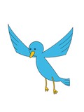 Fototapeta  - illustration of blue bird