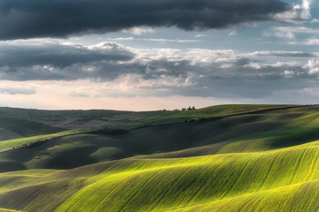 Wall Mural - Beautifully lit fields in the spring sun.