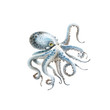 blue octopus watercolor illustration on a white background