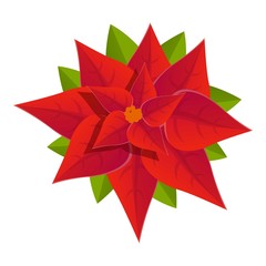 Poster - Poinsettia icon. Cartoon of poinsettia vector icon for web design isolated on white background