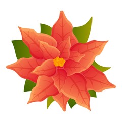 Poster - Nature poinsettia icon. Cartoon of nature poinsettia vector icon for web design isolated on white background