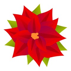 Poster - Celebration poinsettia icon. Cartoon of celebration poinsettia vector icon for web design isolated on white background