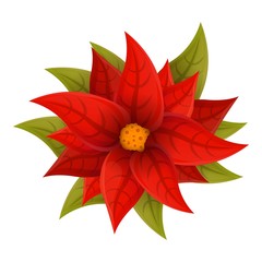 Wall Mural - Beautiful poinsettia icon. Cartoon of beautiful poinsettia vector icon for web design isolated on white background