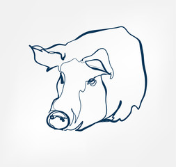 Wall Mural - pig vector animal wild one line design