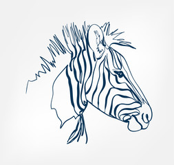 Wall Mural - zebra vector animal wild one line design