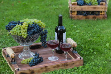  A bottle of red wine, two glasses and a vase with twigs of grapes on a wooden tray on a green lawn.