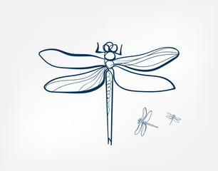 Wall Mural - dragonfly insect vector art line isolated doodle illustration