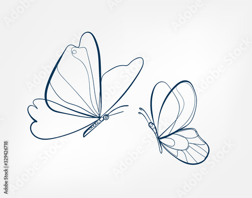 Cuadros en Lienzo butterfly insect vector art line isolated doodle illustration