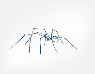 spider vector art line isolated doodle illustration