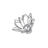 Fototapeta Motyle - doodle illustration of flowers and leaves