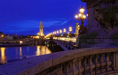  The famous Alexandre III bridge at night, Paris, France