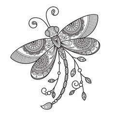 Vector dragonfly antistress doodle coloring book page for adult. Insect black and white illustration.