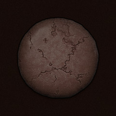Canvas Print - isolated chocolate cookie