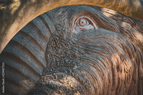 Fotomural Face detail of a mammoth statue