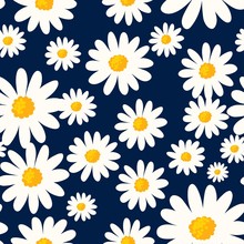 Daisy Seamless Pattern On Dark Blue Background. Floral Ditsy Print With Small White Flowers. Chamomile Design Great For Fashion Fabric, Trend Textile And Wallpaper.