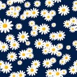 Daisy seamless pattern on dark blue background. Floral ditsy print with small white flowers. Chamomile design great for fashion fabric, trend textile and wallpaper.