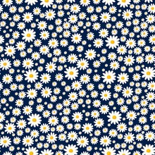 Daisy Seamless Pattern. Floral Ditsy Print With Small White Flowers. Chamomile Design Great For Fashion Fabric, Kitchen Trend Textile And Wallpaper.