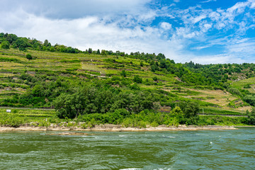 Wall Mural - Germany, Rhine Romantic Cruise, a large body of water