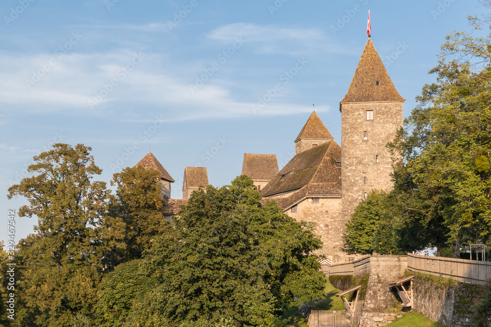 Carte Postale Ancienne Gruss Aus Rapperswil - Rapperswil-Jona, St. Gallen, Suisse, Aufgang