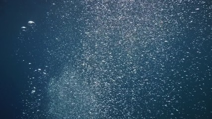 Wall Mural - slow motion of air bubbles rising from sea bottom to water surface. air bubbles in blue water backgr