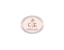 Letter CE Handwrititing Logo With A Beautiful Template