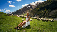 Girl With A Flock Of Sheep In The Village Sitting On A Meadow White Dress Blonde