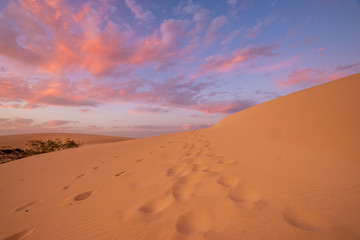 Wall Mural - wonderful, dramatic sky over the sandy desert after sunset