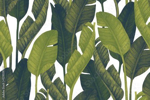fresh-green-banana-leaves-on-white-background-tropical-greenery-seamless-pattern