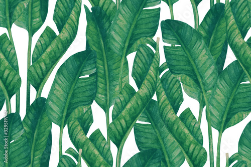 fresh-green-banana-leaves-on-white-background-tropical-greenery-seamless-pattern