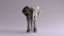 Large Silver Elephant Front View 3d Illustration 3d Render	