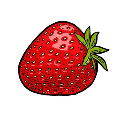 Wall Mural - Whole strawberry. Engraving vintage vector color illustration.