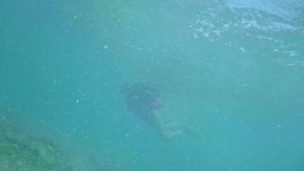 Wall Mural - swimming with hawksbill sea turtle (eretmochelys imbricata), underwater 4k shot