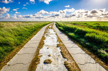 Canvas Print - old country road