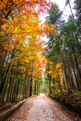 Canvas Print - old footpath