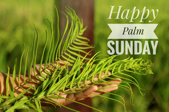 Wall Mural -  - Palm Sunday concept with Christian inspiration quote - Hosanna to the highest. With young woman hand holding fresh fern or palm leaf on blurry green nature background.