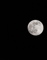 Wall Mural - Closeup of a Full Moon in a Black Sky
