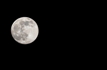 Wall Mural - Closeup of a Full Moon in a Black Sky