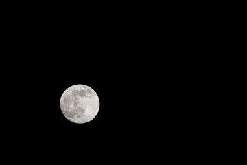 Wall Mural - Closeup of a Full Moon in a Black Sky
