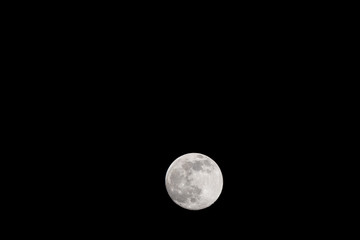 Wall Mural - Closeup of a Full Moon in a Black Sky