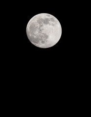 Wall Mural - Closeup of a Full Moon in a Black Sky